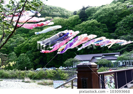 活潑的鯉魚旗 103093668