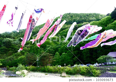 Lively carp streamers Lively carp streamers 103093673