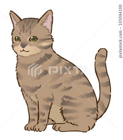 坐貓（kijitora，短毛） 103094108