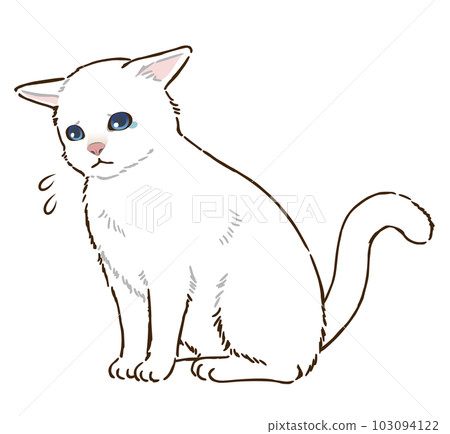 Sad white cat (short hair) Sad white cat (short hair) 103094122