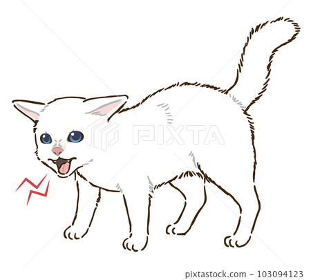 An Angry Cute Cat, Angrily, Lovely, Cat PNG Transparent Image and Clipart  for Free Download