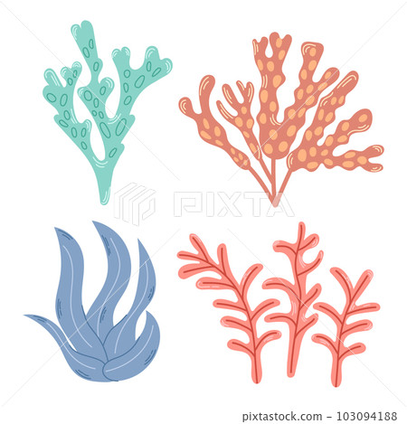 Hand drawn colorful coral and seaweed collection. Modern flat illustration. Hand drawn colorful coral and seaweed collection. Modern flat illustration. 103094188