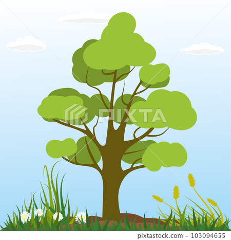 Nature landscapes,tree,plants and grass, 103094655