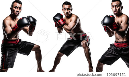 mixed martial artist, mixed martial artist (generative ai) 103097151