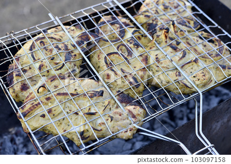 Pork meat in an iron mesh. Barbecue meat. Roast pork. Pork loin. Pork meat in an iron mesh. Barbecue meat. Roast pork. Pork loin. 103097158