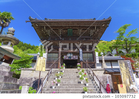 Hasedera Temple, Niomon Gate, Peony Flowers, Fresh Green Season (Hatsuse, Sakurai City, Nara Prefecture) Hasedera Temple, Niomon Gate, Peony Flowers, Fresh Green Season (Hatsuse, Sakurai City, Nara Prefecture) 103097732