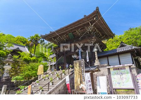 長谷寺、仁王門、牡丹花、新綠時節（奈良縣櫻井市初瀨） 103097733