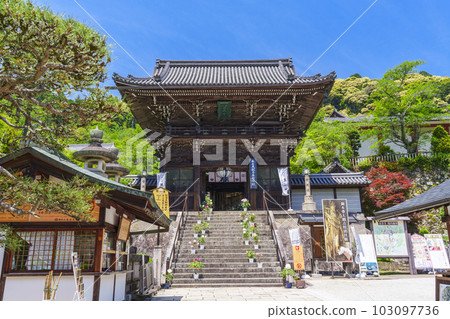 Hasedera Temple, Niomon Gate, Peony Flowers, Fresh Green Season (Hatsuse, Sakurai City, Nara Prefecture) Hasedera Temple, Niomon Gate, Peony Flowers, Fresh Green Season (Hatsuse, Sakurai City, Nara Prefecture) 103097736
