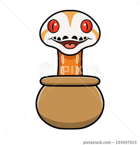 Cute albino sunfire tiger het genetic stripe reticulated python inside the pot Cute albino sunfire tiger het genetic stripe reticulated python inside the pot 103097833