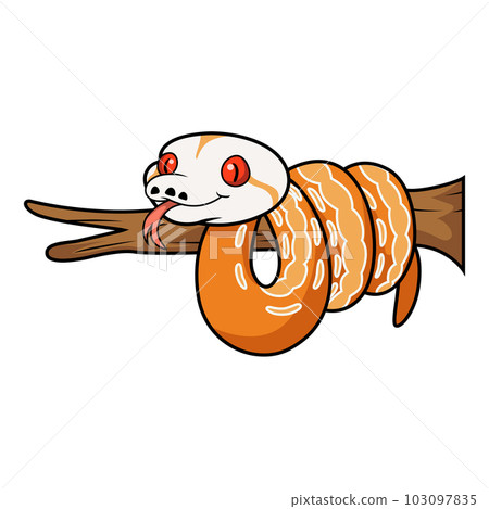 Cute albino sunfire tiger het genetic stripe reticulated python on tree branch 103097835