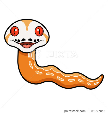 Cute albino sunfire tiger het genetic stripe reticulated python 103097846