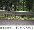Guardrail in the mountains 103097891