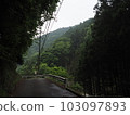 deserted mountain road 103097893