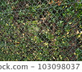 green fence 103098037