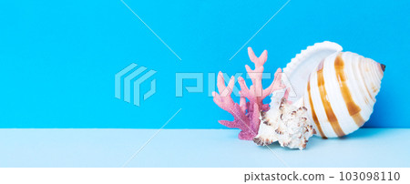 Beach seashells on colored background. Mock up with copy space Beach seashells on colored background. Mock up with copy space 103098110