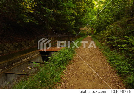 Lake Biwa Canal (Kyoto Prefecture) Lake Biwa Canal (Kyoto Prefecture) 103098756