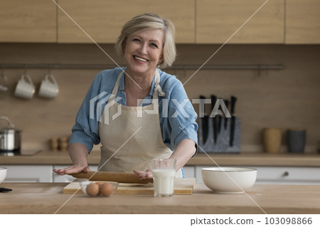 Happy elderly woman preparing pastries in the kitchen Happy elderly woman preparing pastries in the kitchen 103098866
