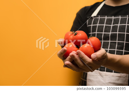 Man Unrecognizable wearing apron holding fresh organic tomatoes on yellow background. Vegetables and healthy food concept Man Unrecognizable wearing apron holding fresh organic tomatoes on yellow background. Vegetables and healthy food concept 103099395