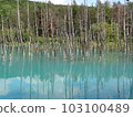 青池（北海道美瑛） 103100489