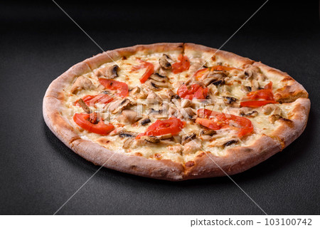 Delicious pizza with chicken, tomatoes and cheese with salt and sauce Delicious pizza with chicken, tomatoes and cheese with salt and sauce 103100742