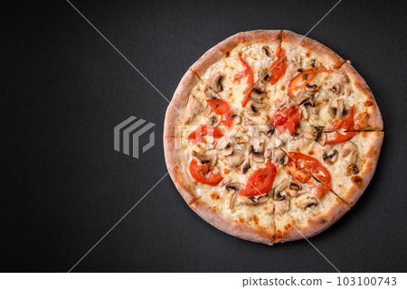 Delicious pizza with chicken, tomatoes and cheese with salt and sauce 103100743