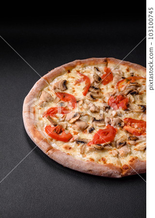 Delicious pizza with chicken, tomatoes and cheese with salt and sauce 103100745