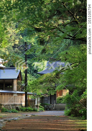 The precincts of Kezoji Temple covered with fresh greenery in Matsue City, Shimane Prefecture The precincts of Kezoji Temple covered with fresh greenery in Matsue City, Shimane Prefecture 103100794