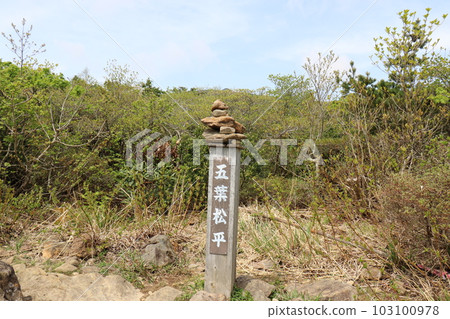 2023 年 5 月在福島縣的 Adatara 山 103100978