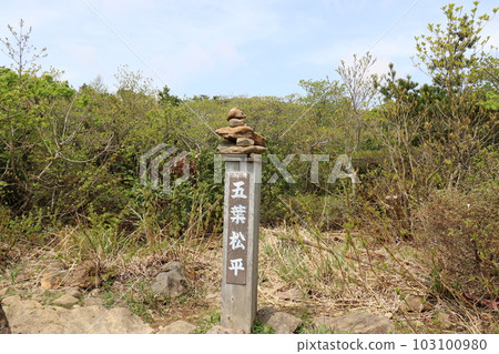 2023 年 5 月在福島縣的 Adatara 山 103100980