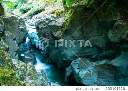 德島縣指定天然紀念物 Dogama 11 德島縣美馬郡劍町 德島縣指定天然紀念物 Dogama 11 德島縣美馬郡劍町 103101320