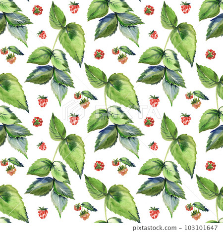 Vintage seamless wallpaper with retro image of elegant raspberry with leaves Vintage seamless wallpaper with retro image of elegant raspberry with leaves 103101647