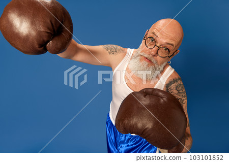Portrait of bald, bearded, mature man with tattoos in sportswear posing in vintage boxing gloves against blue studio background 103101852