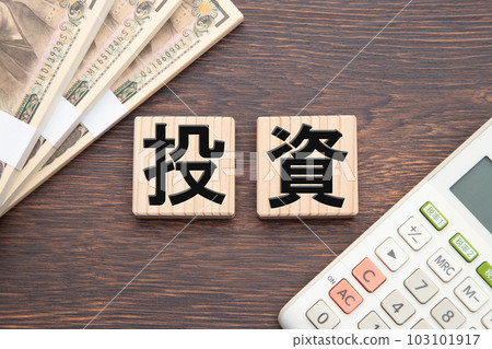 investment 103101917