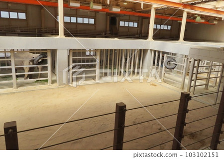 [山口縣]周南市德山動物園大象館 103102151