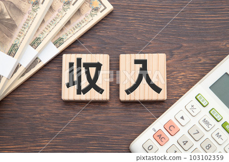 收入 103102359