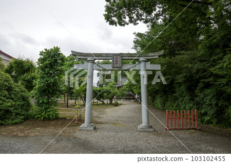 茨城縣龍崎市恩中神社鳥居 103102455