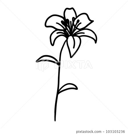 Black and white flower for coloring. Plant in outline doodle style. Hand drawn vector illustration. Black and white flower for coloring. Plant in outline doodle style. Hand drawn vector illustration. 103103236