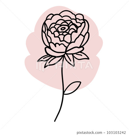Black and white flower with pink brush in outline doodle style. Hand drawn vector illustration. Black and white flower with pink brush in outline doodle style. Hand drawn vector illustration. 103103242