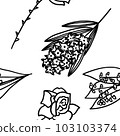 Vector seamless pattern with flowers in outline style 103103374