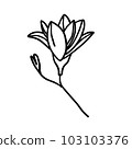 Black and white flower for coloring. Plant in outline doodle style. Hand drawn vector illustration. 103103376