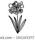 Black and white flower for coloring. Plant in outline doodle style. Hand drawn vector illustration. 103103377