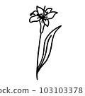 Black and white flower in outline doodle style 103103378