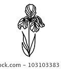 Black and white flower for coloring. Plant in outline doodle style. Hand drawn vector illustration. 103103383