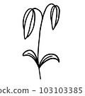 Black and white flower for coloring. Plant in outline doodle style. Hand drawn vector illustration. 103103385
