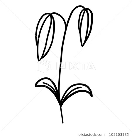 Black and white flower for coloring. Plant in outline doodle style. Hand drawn vector illustration. 103103385