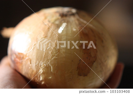 vegetables on the table vegetables on the table 103103408