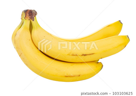 Ripe bananas of uniform yellow color, isolated on white background. 103103625