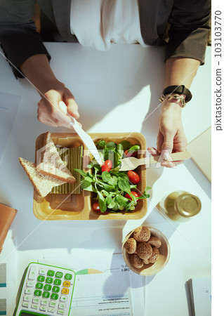 accountant woman in green office eating salad 103103770