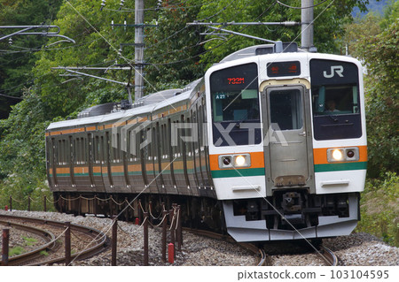 上越線211系列（4節列車：高崎⇔水上） 103104595