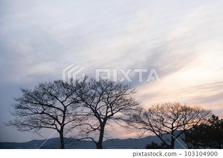 Sunset over Lake Biwa in orange Sunset over Lake Biwa in orange 103104900